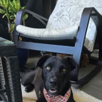 Photo of Merryweather