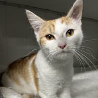 Photo of Winnie