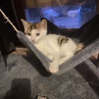 Photo of Marceline 