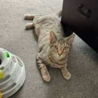 Photo of Lisa