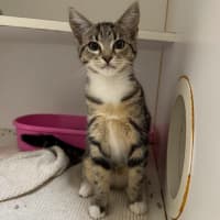 Photo of Kiki
