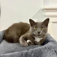 Photo of Keisha