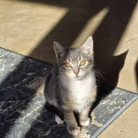 Photo of Timmy