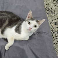 Photo of Mabel