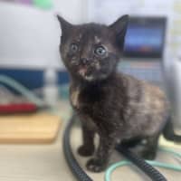 Photo of Sally