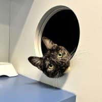 Photo of Luna
