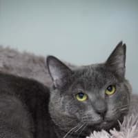 Photo of Sweetie Boy