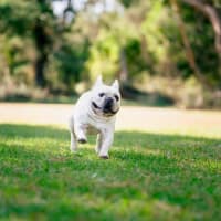 Photo of Bee O’cleary