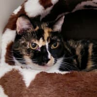 Photo of Amie