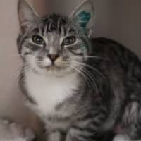 Photo of Leia