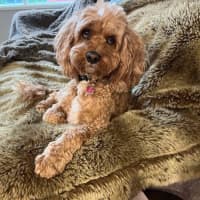 Photo of Winston Quinell