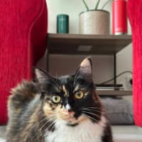 Photo of Willow And Jasper