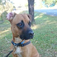Photo of Digger
