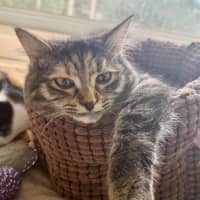 Photo of Francesca Moo