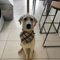 Photo of Marlie 
