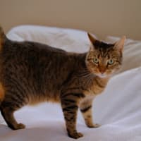 Photo of Luna