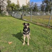 Photo of Zeke