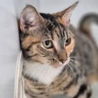 Photo of Matilda