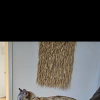 Photo of Matilda ( Tilly ) 