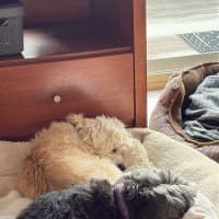 Photo of Missy & Middy