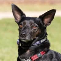 Photo of Basil Moriarty