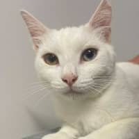 Photo of Luna
