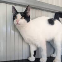 Photo of Nell 