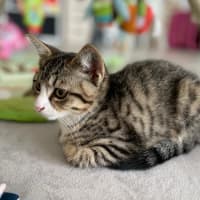 Photo of Winnie