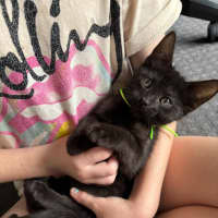 Photo of Luci