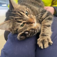 Photo of Catrick Swayze