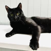 Photo of Milo   Malvern 