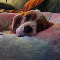 Photo of Lexi