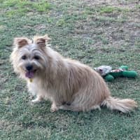 Photo of Milly