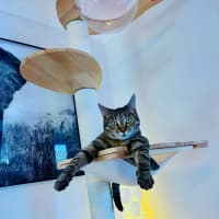 Photo of Ferris & Felix