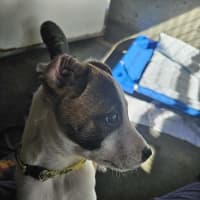 Photo of Colby
