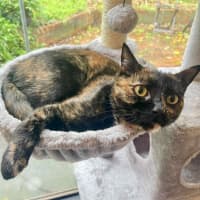Photo of Arya