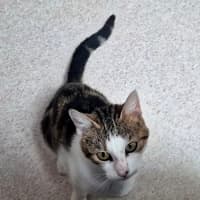 Photo of April (9172)