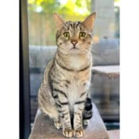 Photo of 11626   Claude