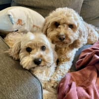 Photo of Amy
