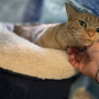 Photo of Moirai