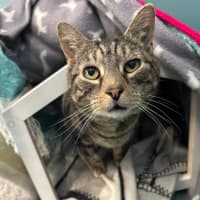 Photo of Coco And Ruby