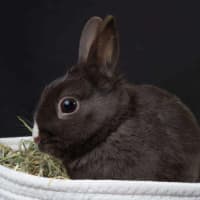 Photo of Colby