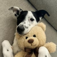 Photo of Hattie