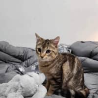 Photo of Meelo