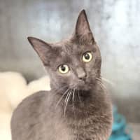 Photo of Cindy