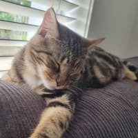 Photo of Lily