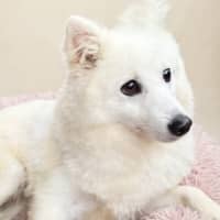 Photo of Nancy
