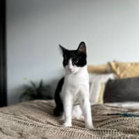 Photo of April