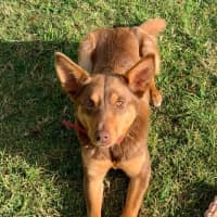 Photo of Nora