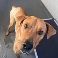 Photo of Bruno